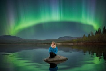 Die Auswirkungen der Polarlichter auf die Tierwelt der Arktis