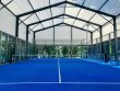 Padelschläger kaufen: Tipps vom Experten